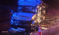 Malatya’da Gece Yarısı Kaza! Tır ile Minibüs Çarpıştı, 1 Kişi Yaralandı