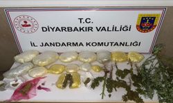 Diyarbakır’da 59 Bin Kök Kenevir ve 109 Kilo Uyuşturucu Ele Geçirildi!