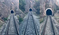 Tren Raylarında Ayı Ailesi Paniği! Makinist Korna Çaldı, Ayılar Kaçıştı