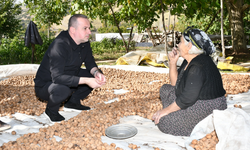 Hekimhan Cevizinde Bereket Var, Kazanç Yok! Üreticinin İsyanı Dikkat Çekti