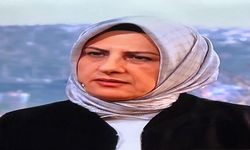 Hülya Terzioğlu Kimdir? Yeni Görev Sonrası Hayatı ve Kariyeri Merak Konusu Oldu