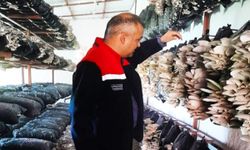 Malatya’da Mantar Hasadı Öncesi Kritik Kontrol! Ekipler Tesisleri İnceledi