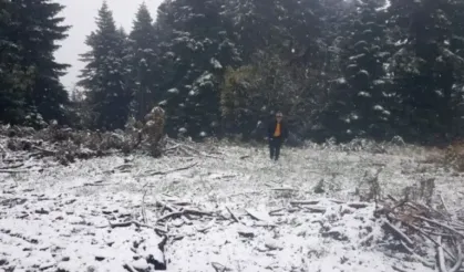 Mevsimin ilk karı yağdı: Hava sıcaklığı 0 dereceye düştü