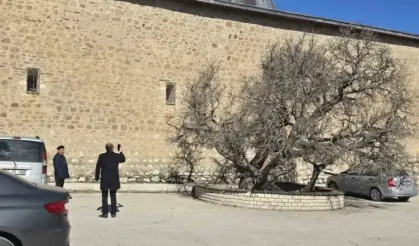 Harput'un Gizemli Hikayesi: Eğik Minare ve Secde Eden Dut Ağacı
