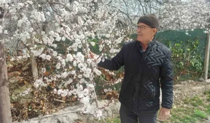 Malatya’da kayısı üreticileri zirai don tehlikesiyle karşı karşıya