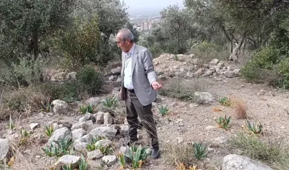 Bakımsız bebek mezarlığı tepkilere neden oluyor