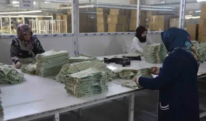Bitlis’te devlet desteğiyle açılan fabrikalarda 13 bin kişi istihdam ediliyor