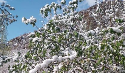 Nisan ayında 3 il ve 20 ilçede en düşük sıcaklık rekoru kırıldı