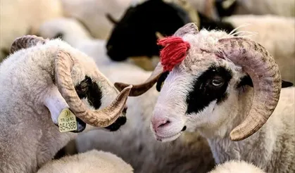 Kurban Bayramı 2025 Ne Zaman? Bayram Tatili Kaç Gün Sürecek?