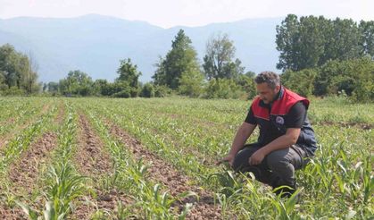 Son gün 10 Haziran: Devlet desteği ile yüzde 50 prim indirimi