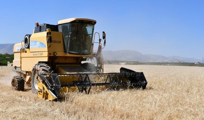 TMO’da Randevu Dönemi Başladı! Malatyalı Üreticiler İçin Buğday ve Arpa Alımları Açılıyor