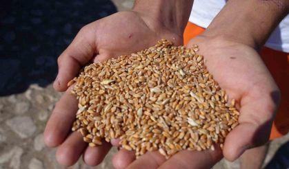 Sertifikalı Tohum Almak İsteyen Çiftçiler İçin Son Çağrı: 31 Temmuz