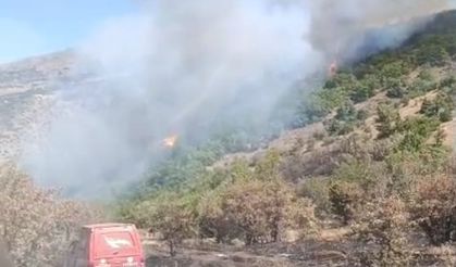 Malatya’da 17 hektar alanı küle çeviren yangın söndürüldü!