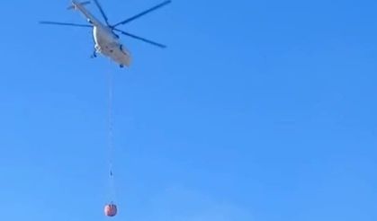 Malatya'daki orman yangını kontrol altına alındı