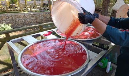 Malatya’da hasat başladı: Geleneksel yöntemle kışa hazırlanıyor!