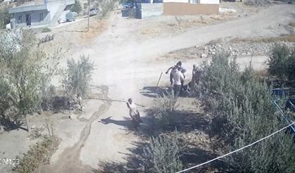 Şanlıurfa'da yaşanan kuyu kavgası kamerada