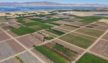 Elazığ'dan Türkiye'ye nefes oluyorlar!