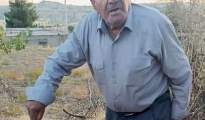 Siirt'te kayıp Alzheimer hastası 9 gündür aranıyor