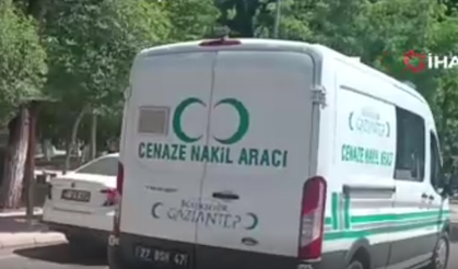 Aniden yola çıkan ineğe çarpan sürücü öldü!