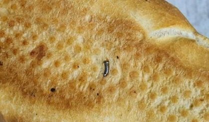 Yok artık! Ekmekten çivi çıktı