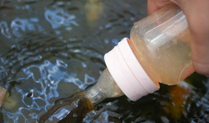 Malatya’dan ziyaretçi alıyor!