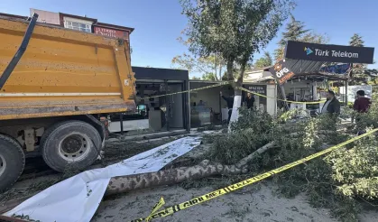Malatya'da freni arızalanan kamyon 7 konteyner iş yerine çarptı