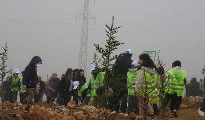 Beydağı'nın etekleri 10 bin 444 ağaçla geleceğe nefes oldu