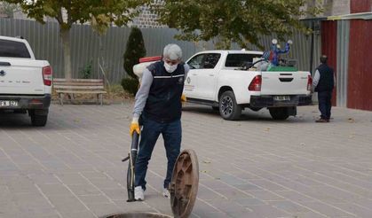 Diyarbakır’da haşerelere karşı kışlak ilaçlamanın startı verildi