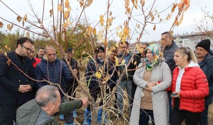 Elazığ’da ağaç budama ve aşılama eğitimi
