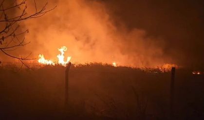 Göldeki kamışlar alev aldı