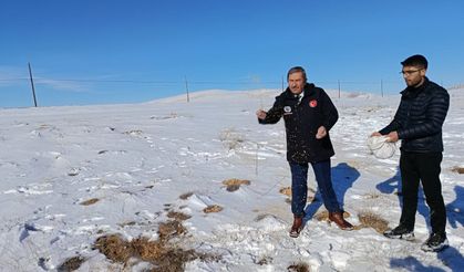 Darende’de Zorlu Kış Şartlarında Yaban Hayvanları İçin Yemleme Çalışması