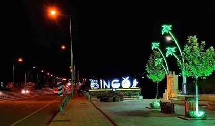 Bingöl’e Uyarı Geldi: O İki Bölgede Birden Olacak!