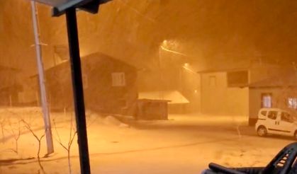 Malatya'da Bahar Beklenirken Kar Geldi!