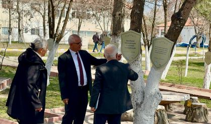 Türküler Ağaçlarda Hayat Buldu, Arguvan’da Kültür Canlandı
