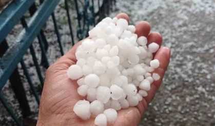Malatya'da Dolu Felaketi! Kayısı Üreticisi Çağla Döneminde Vuruldu