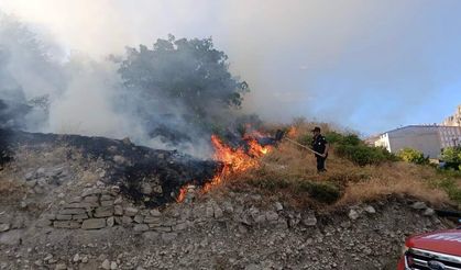 Darende'de Korkutan Yangın! Kayısı Bahçesi Alevlere Teslim Oldu