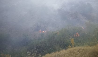 Pütürge'deki Yangında 20 Araç ve 55 Personel Seferber Oldu