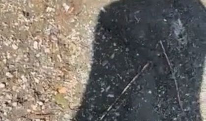 Elazığ’da göl kenarında şaşkına çeviren anlar: Yakaladığı yılanla arkadaşını kovaladı