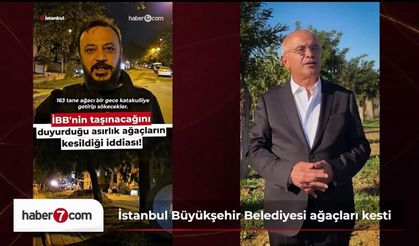 İstanbul’daki Ağaçların Kesilmesi Tartışması Büyüdü! Malatya’nın Uygulaması Takdir Topladı