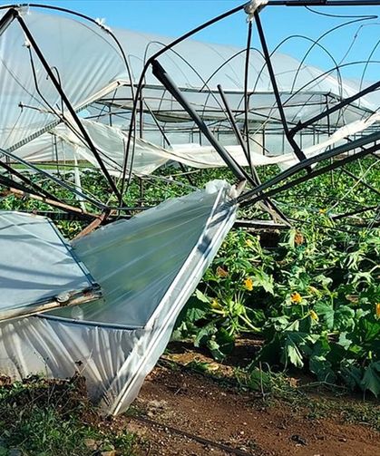 Antalya'da hortum nedeniyle 4 sera hasar gördü