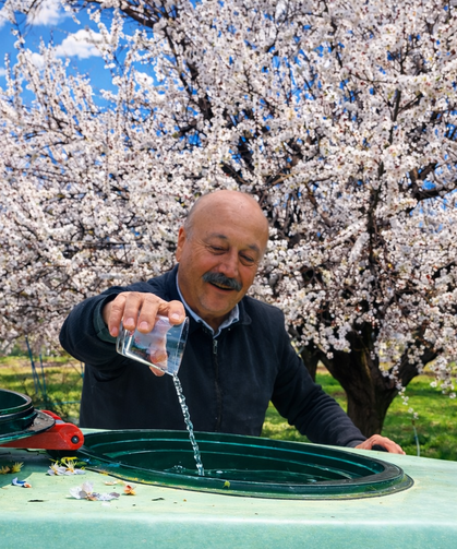 Kayısı Bahçesinde İlginç Ritüel: Zemzem Suyuyla Sezona Başladı