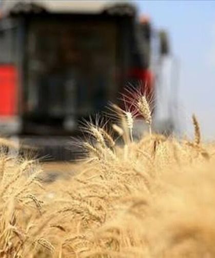 Küresel Gıda Fiyatları Yükseldi: Malatya’da Vatandaşın Sofrasını Etkileyecek Gelişme..