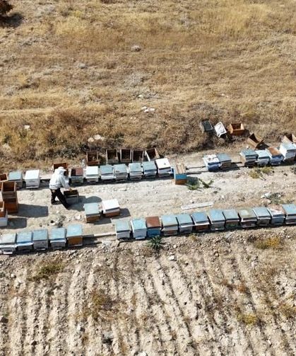 Malatya’da Bu Balı Bulmak Artık Çok Zor! Hasat Biter Bitmez Tükendi