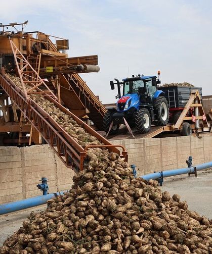 Elazığ’ın Pancarları Malatya’ya Geliyor! İşlenecek Miktar Belli Oldu