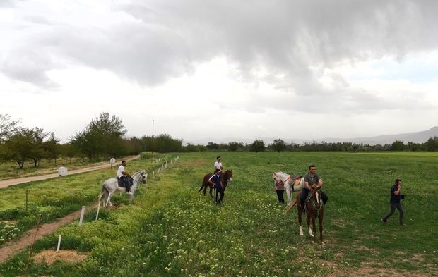 Malatya’da bu terapinin 20 dakikası 350 TL’ye!