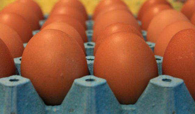Yumurta fiyatları düşüşe geçti! İşte üretici ve market fiyatları arasındaki fark