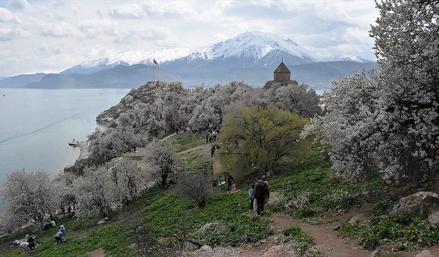 Akdamar Adası Badem Çiçeği Festivali'nde Renkli Final