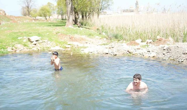 Muşlu çocuklar soğuğa aldırmadı: Titreye titreye gölette yüzdüler