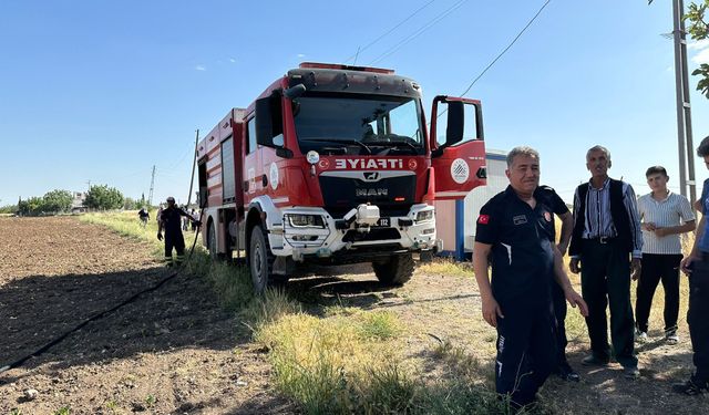 Adıyaman'da kısa sürede büyümesi korkuttu!