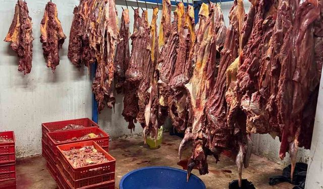 3 ton bozulmuş  at eti ele geçirildi!